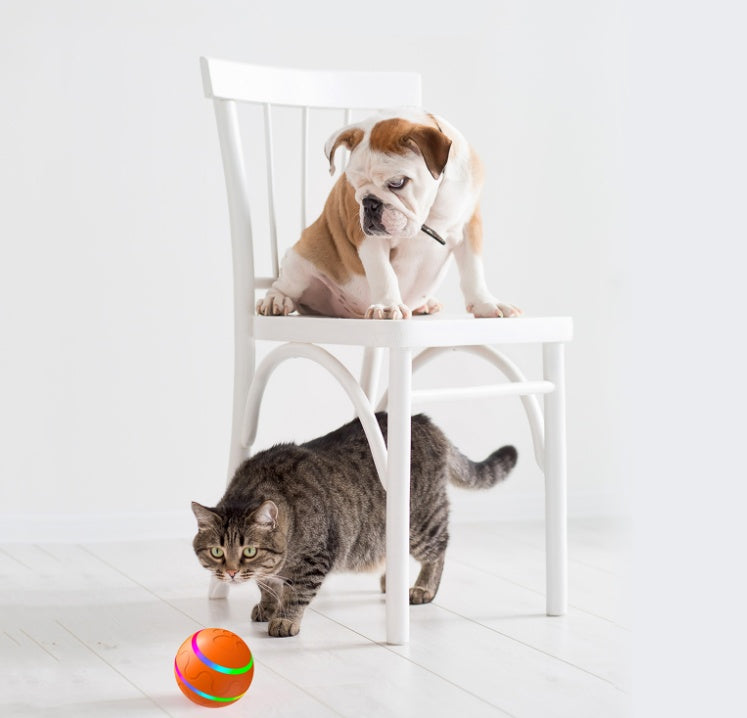 intelligente Wicked Ball Katzen-Spielzeug