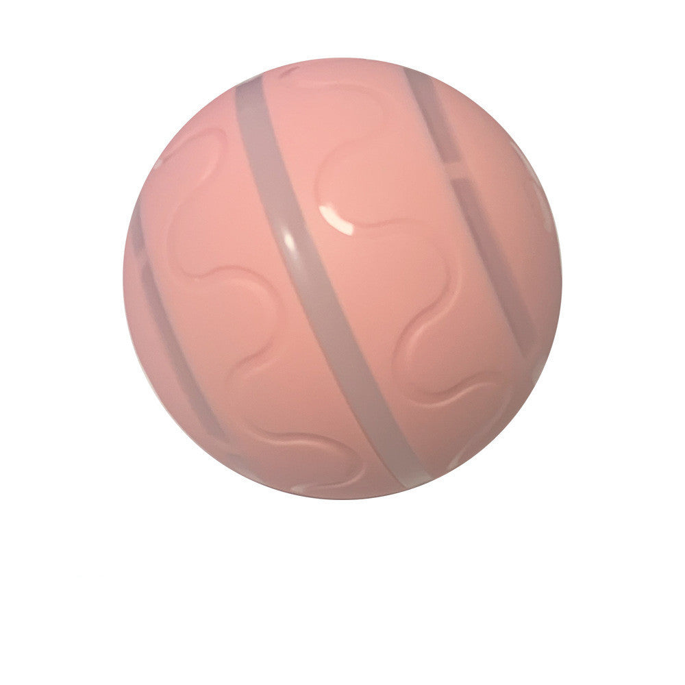 intelligente Wicked Ball Katzen-Spielzeug