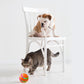 intelligente Wicked Ball Katzen-Spielzeug