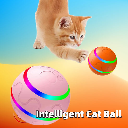intelligente Wicked Ball Katzen-Spielzeug