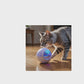 intelligente Wicked Ball Katzen-Spielzeug